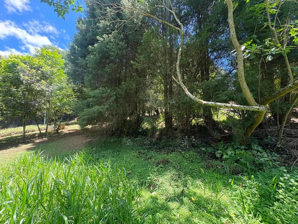 Loteamento e Condomínio, 1179 m² - Foto 3