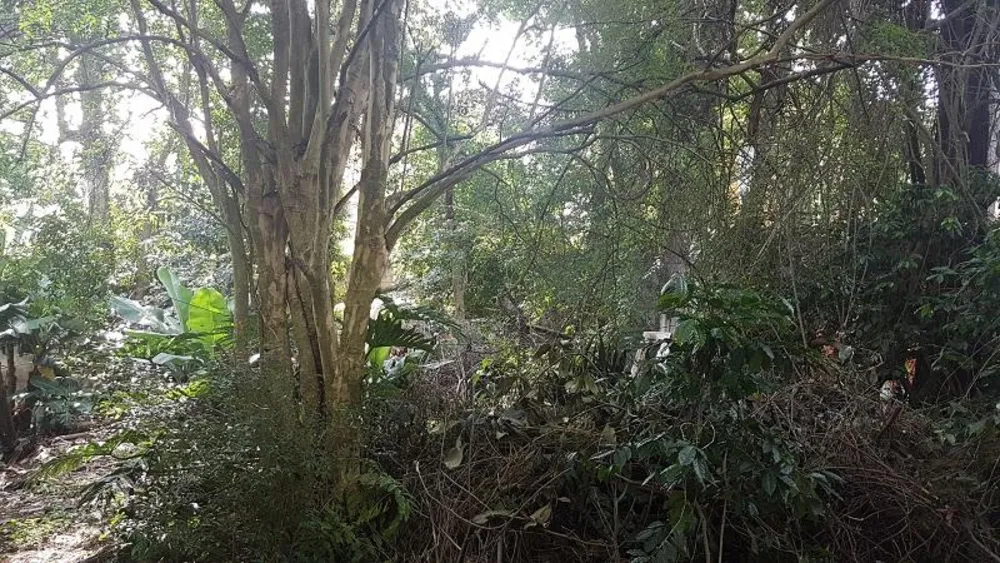 Terreno, 2300 m² - Foto 11