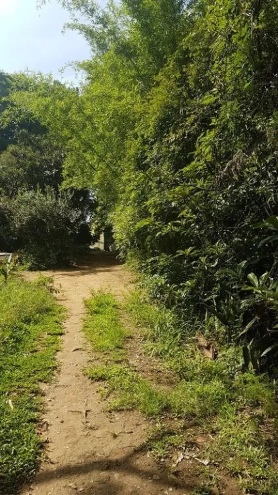 Terreno, 2300 m² - Foto 5