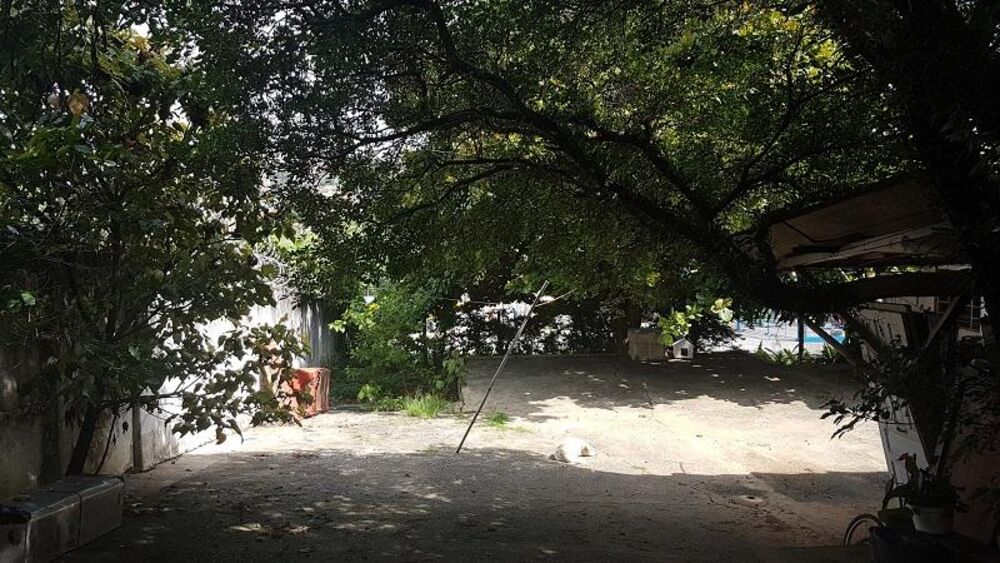 Terreno, 2300 m² - Foto 2