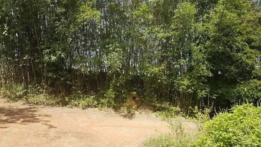 Terreno, 2300 m² - Foto 4