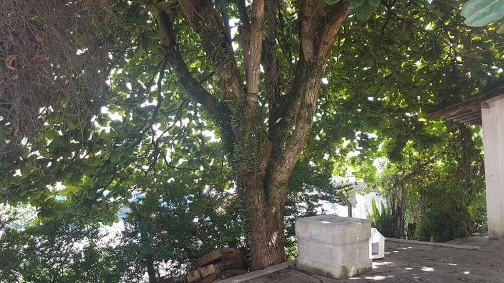 Terreno, 2300 m² - Foto 1