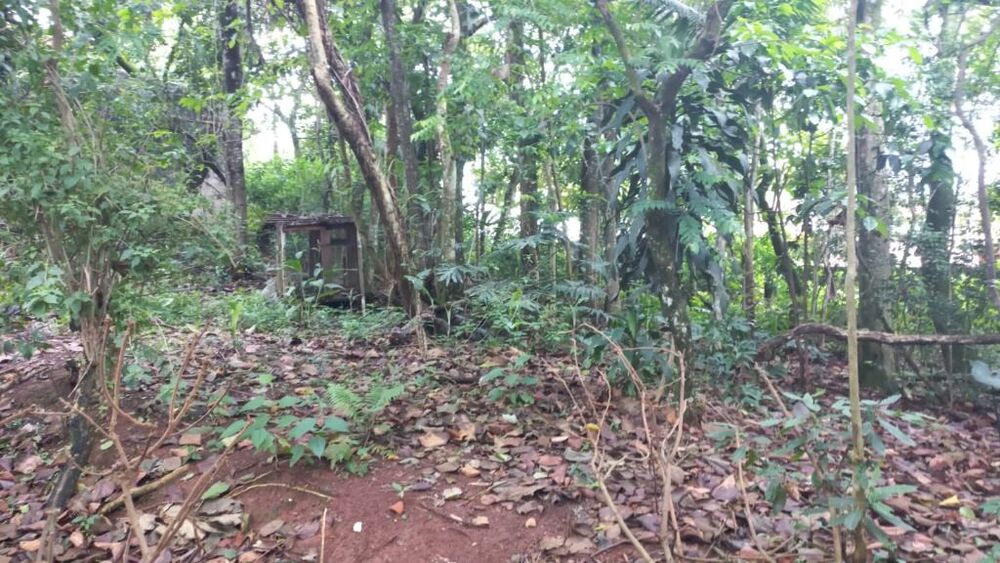 Loteamento e Condomínio à venda, 300m² - Foto 7