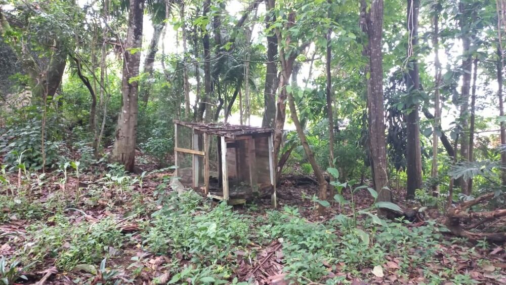 Loteamento e Condomínio à venda, 300m² - Foto 5