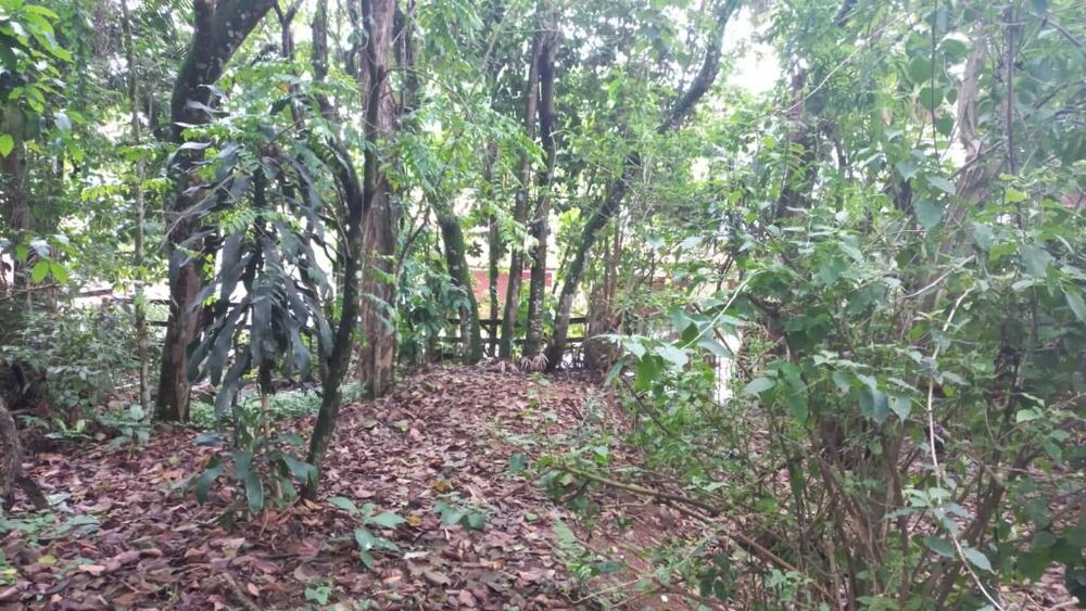 Loteamento e Condomínio à venda, 300m² - Foto 6