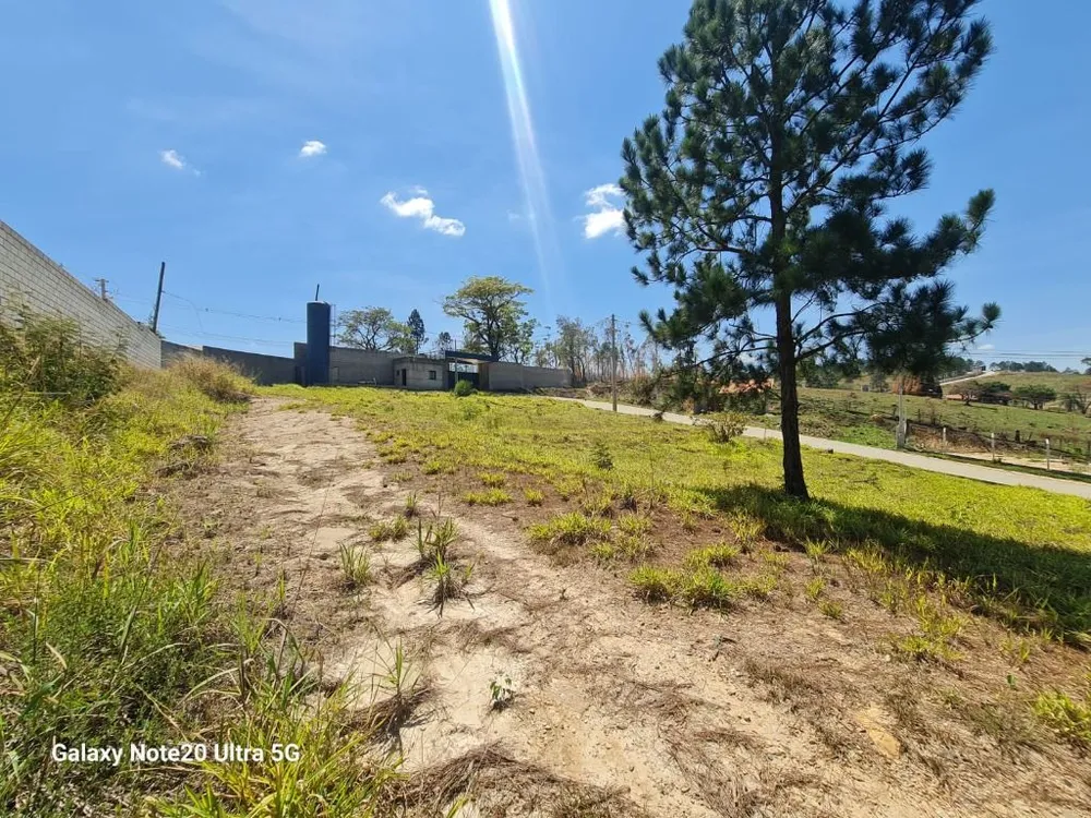Terreno, 1097 m² - Foto 6