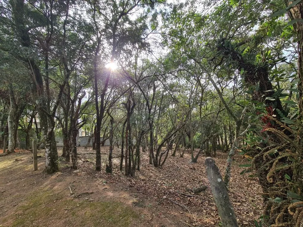 Loteamento e Condomínio, 1575 m² - Foto 1