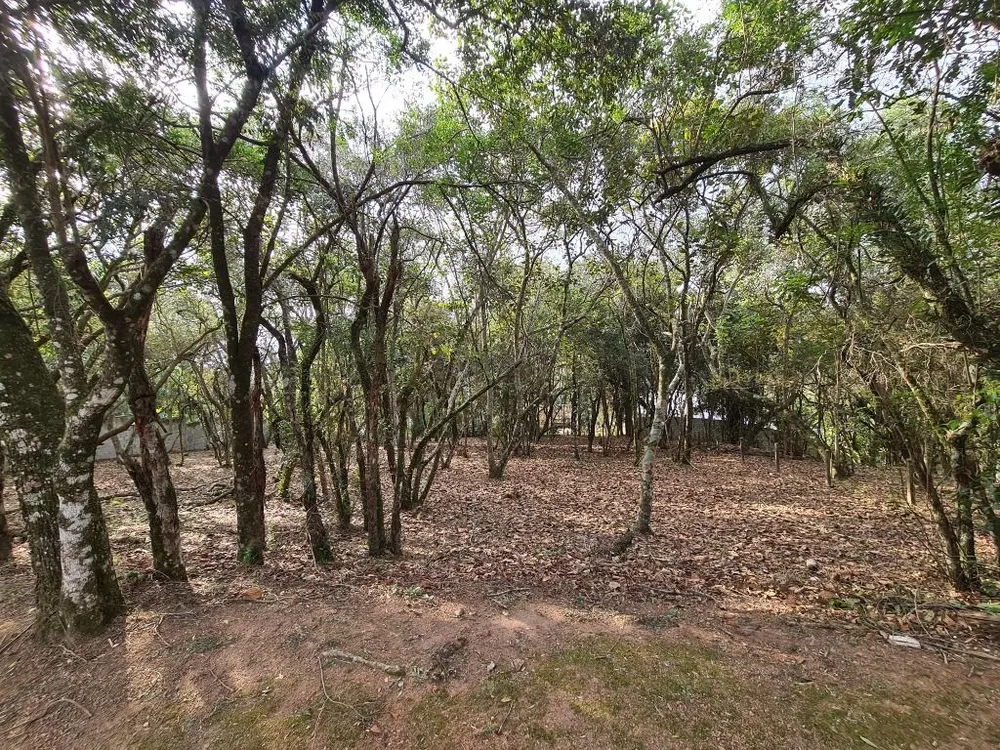 Loteamento e Condomínio, 1575 m² - Foto 9