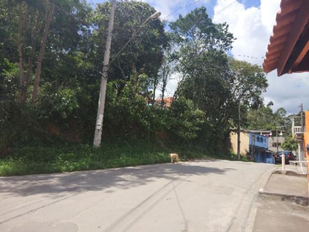 Terreno, 6999 m² - Foto 1