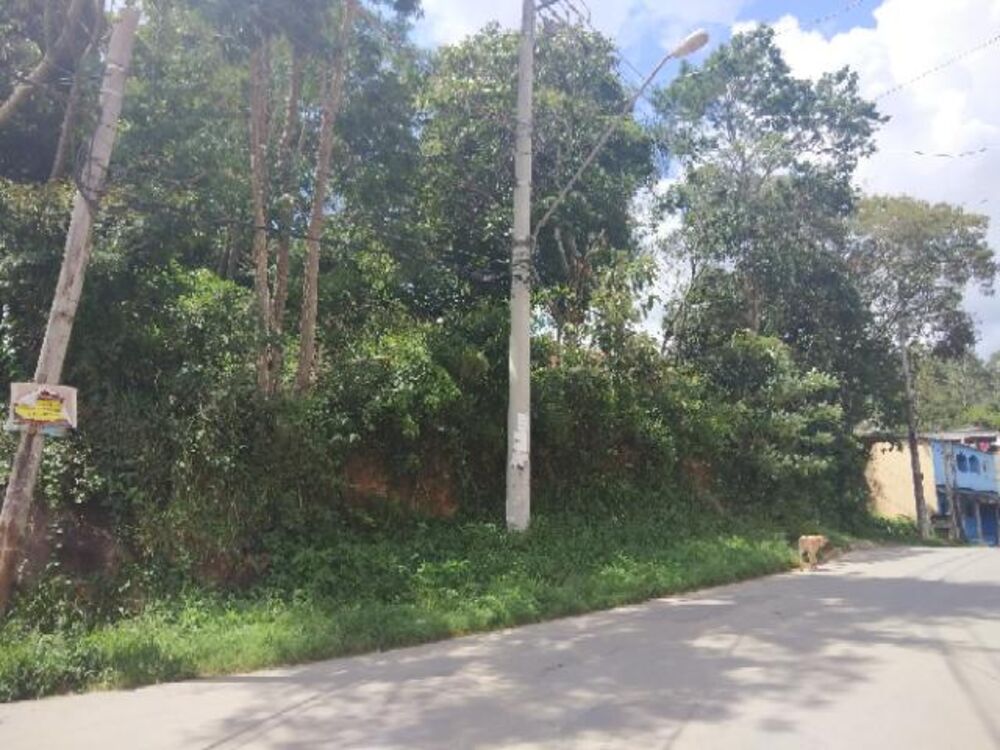 Terreno, 6999 m² - Foto 6