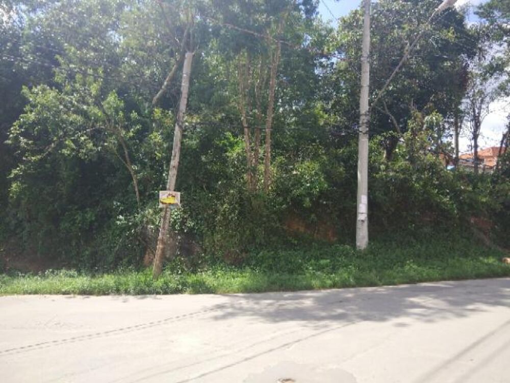 Terreno, 6999 m² - Foto 3