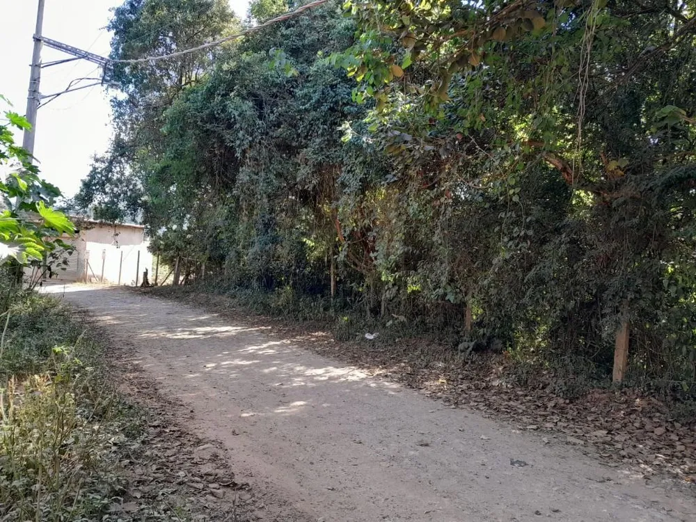 Terreno, 2480 m² - Foto 12