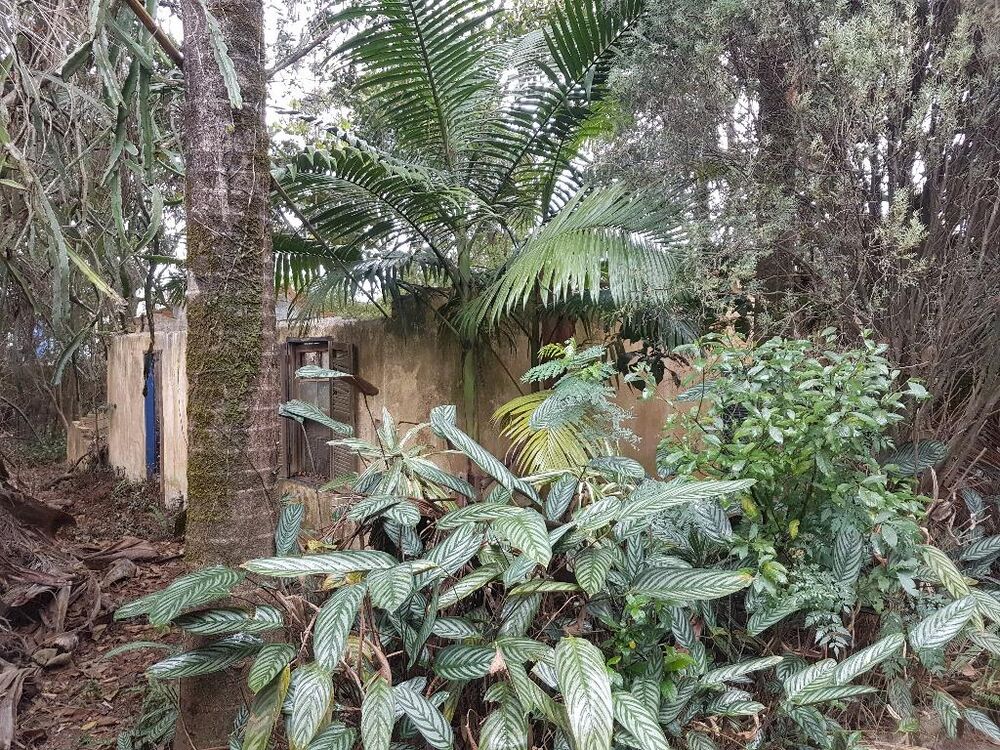 Terreno, 4291 m² - Foto 15