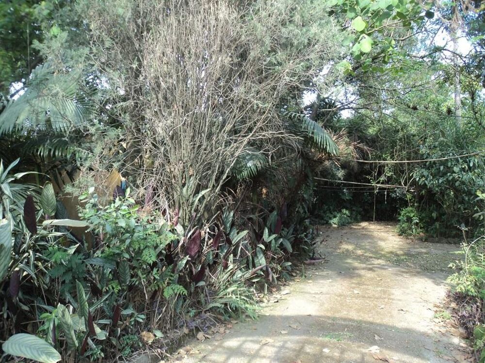Terreno, 4291 m² - Foto 10