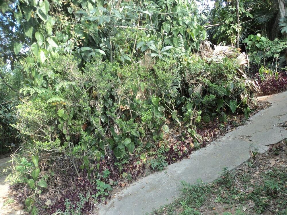 Terreno, 4291 m² - Foto 12
