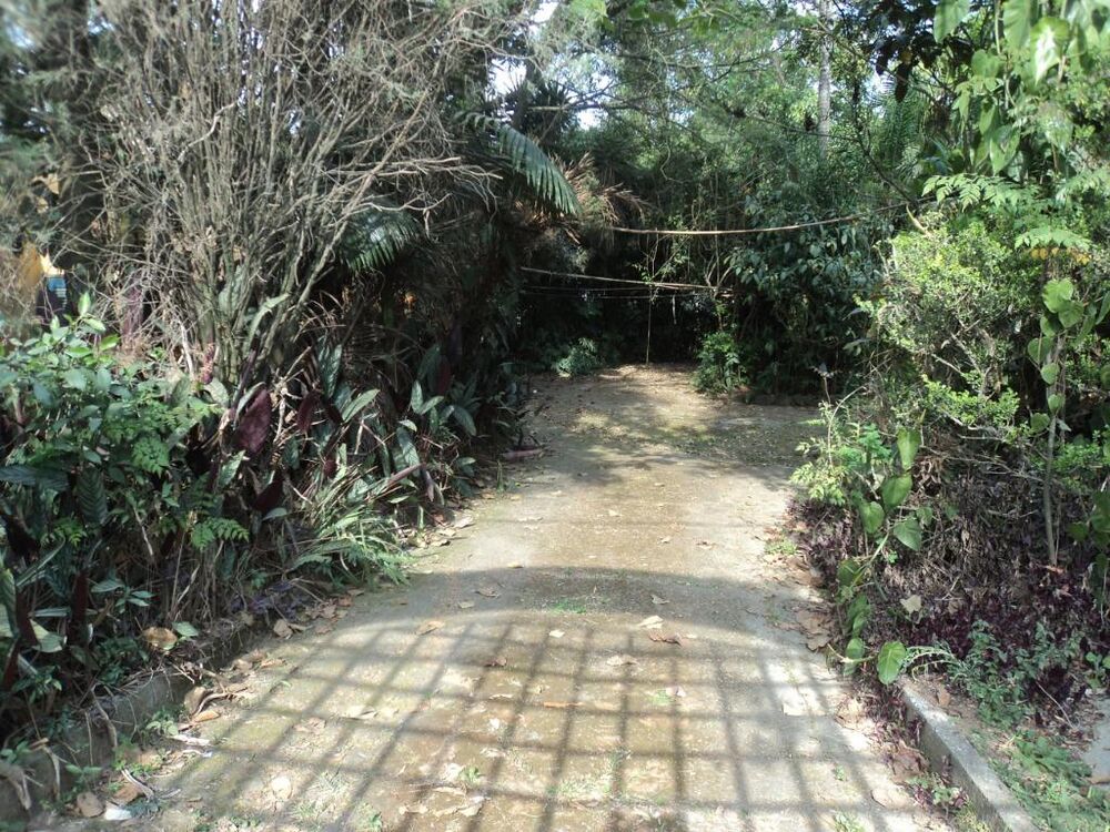 Terreno, 4291 m² - Foto 17