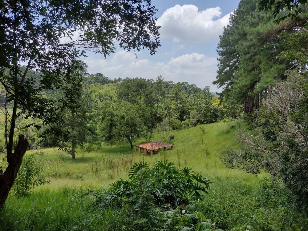 Terreno, 6 hectares - Foto 15