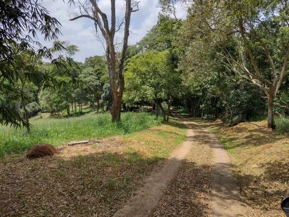 Terreno, 6 hectares - Foto 40