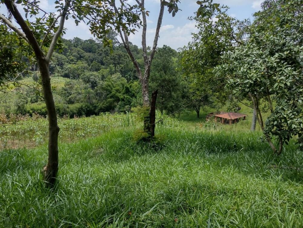 Terreno, 6 hectares - Foto 28
