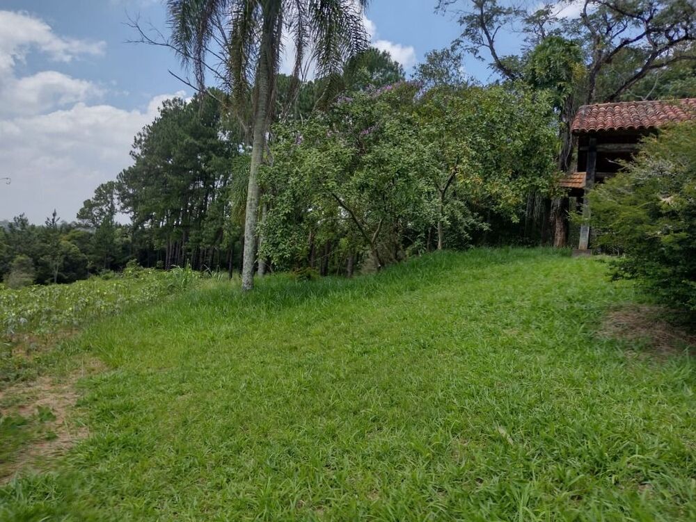 Terreno, 6 hectares - Foto 11