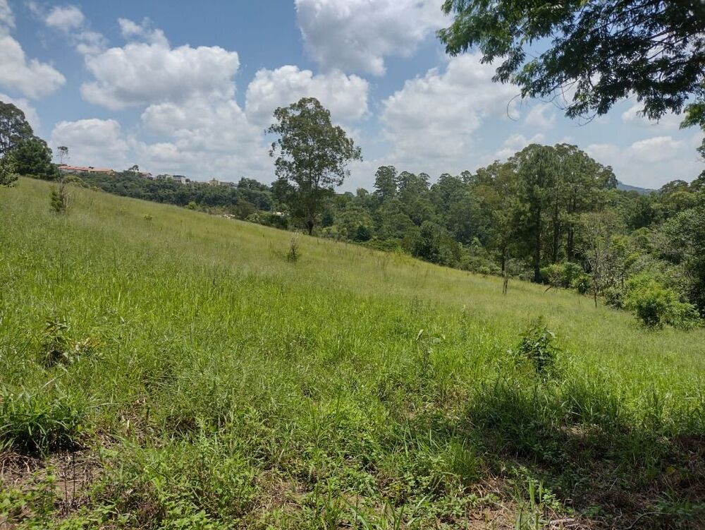 Terreno, 6 hectares - Foto 12