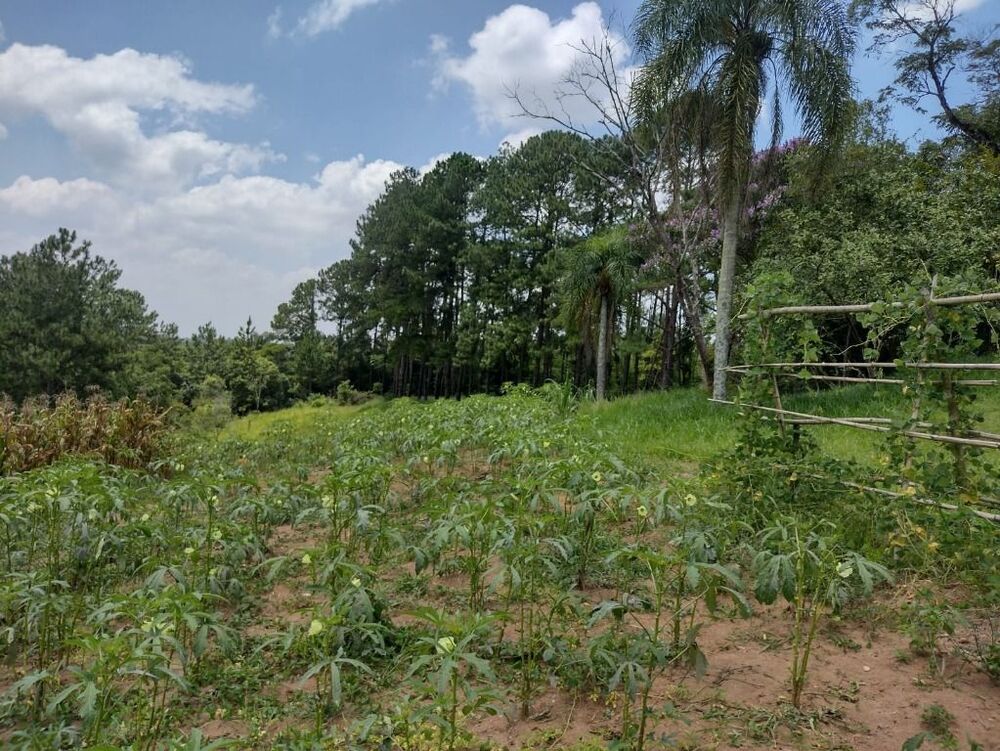 Terreno, 6 hectares - Foto 2