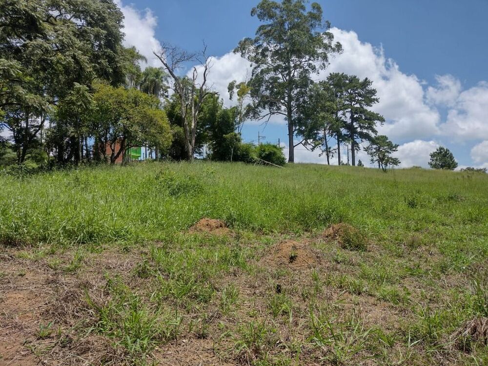 Terreno, 6 hectares - Foto 4