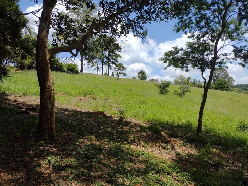 Terreno, 6 hectares - Foto 18
