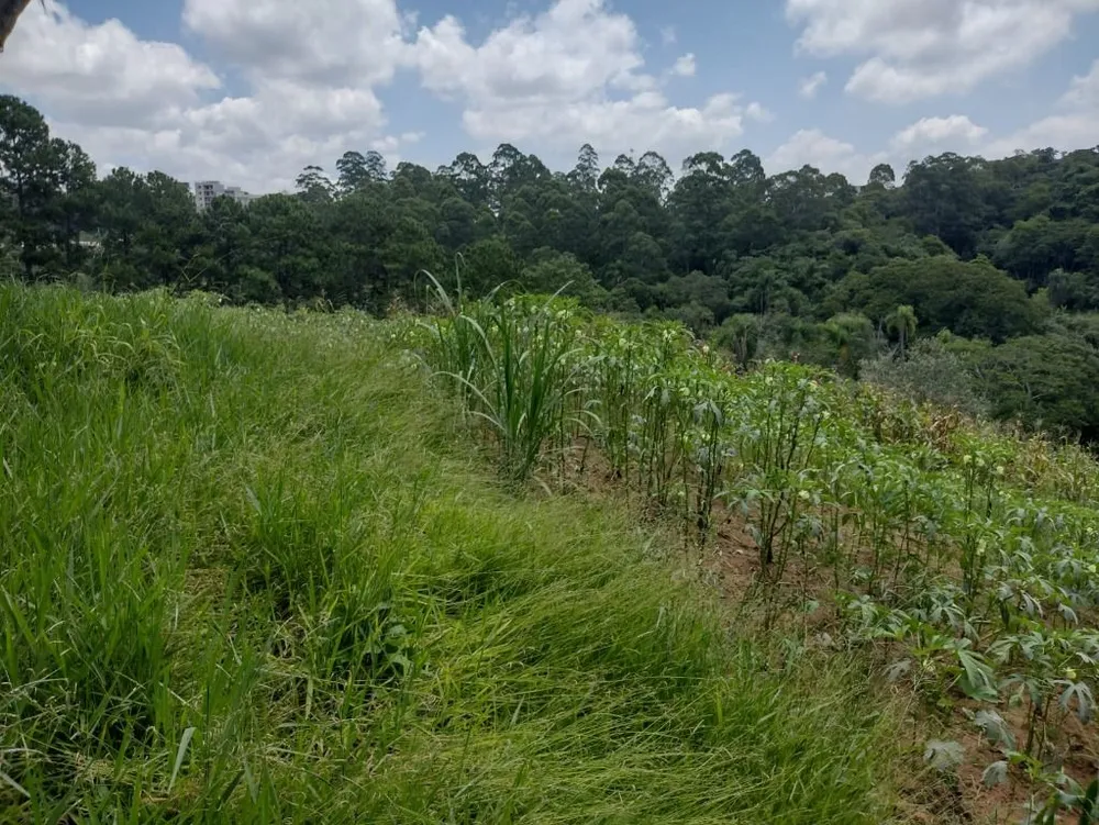 Terreno, 6 hectares - Foto 19