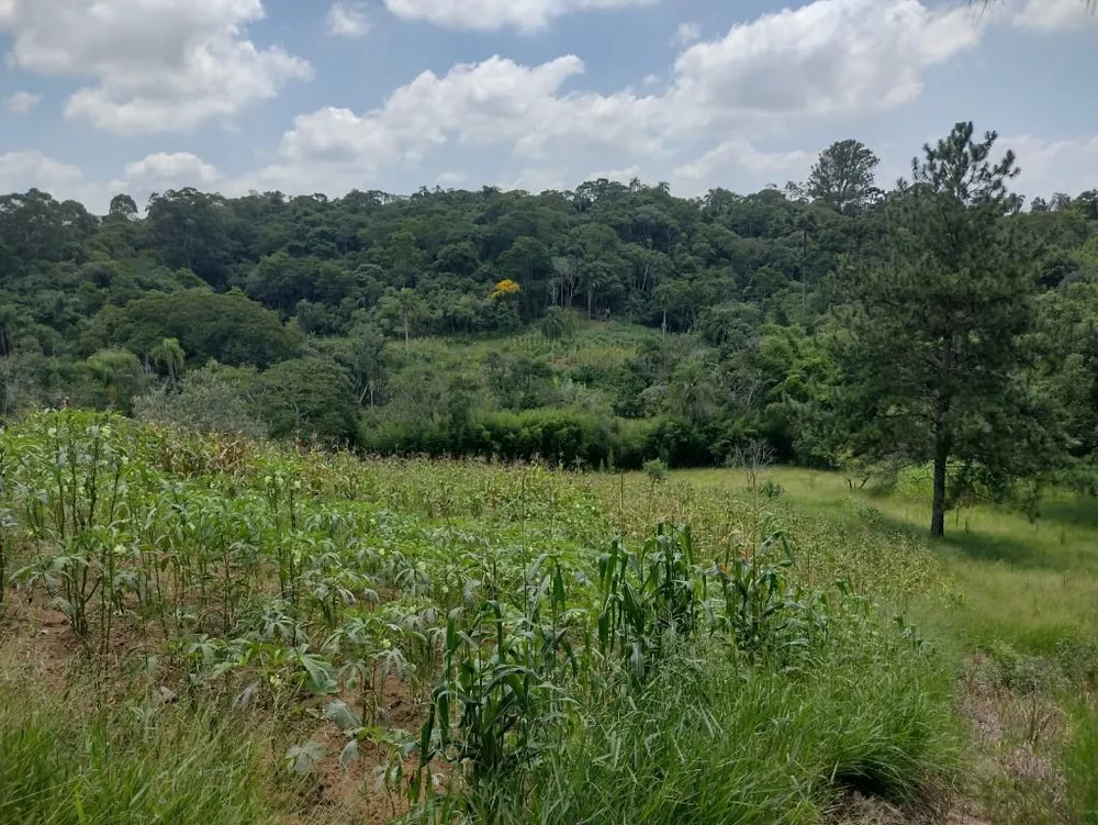 Terreno, 6 hectares - Foto 16