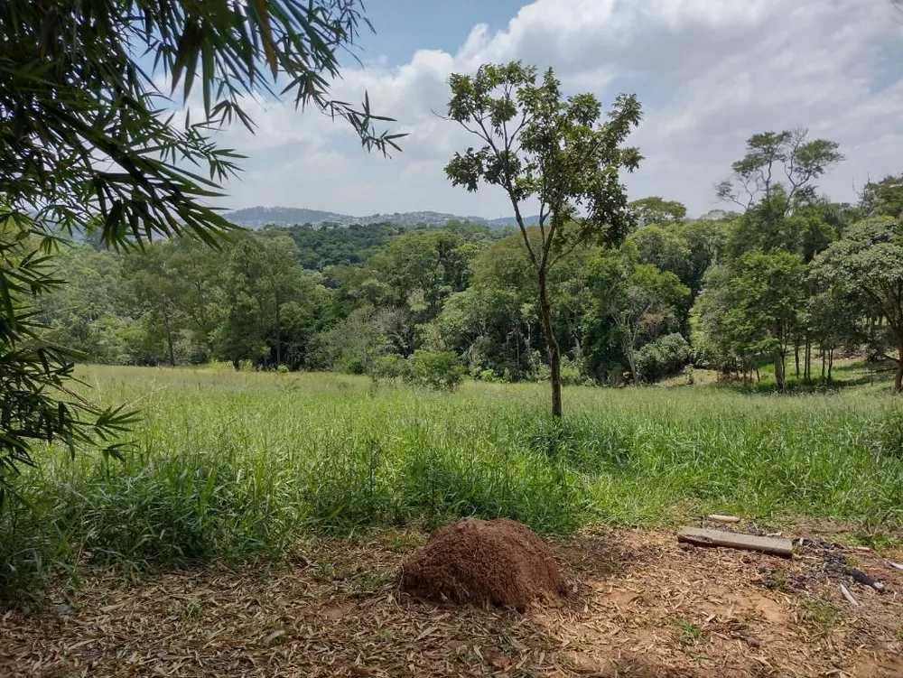 Terreno, 6 hectares - Foto 41