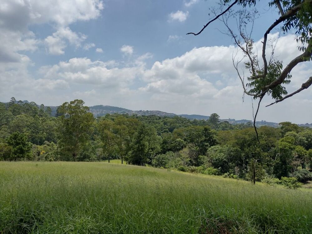 Terreno, 6 hectares - Foto 13
