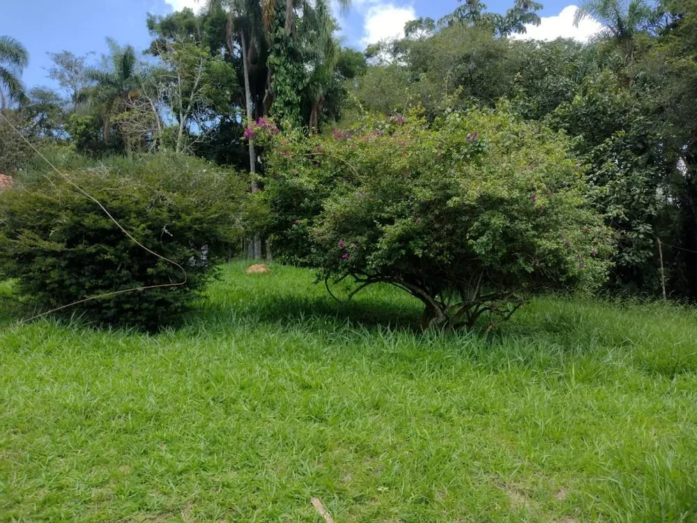 Terreno, 6 hectares - Foto 26