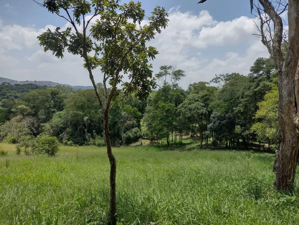 Terreno, 6 hectares - Foto 37
