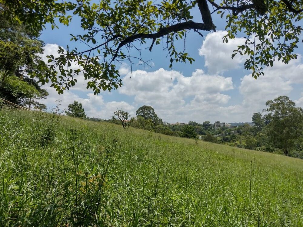 Terreno, 6 hectares - Foto 8