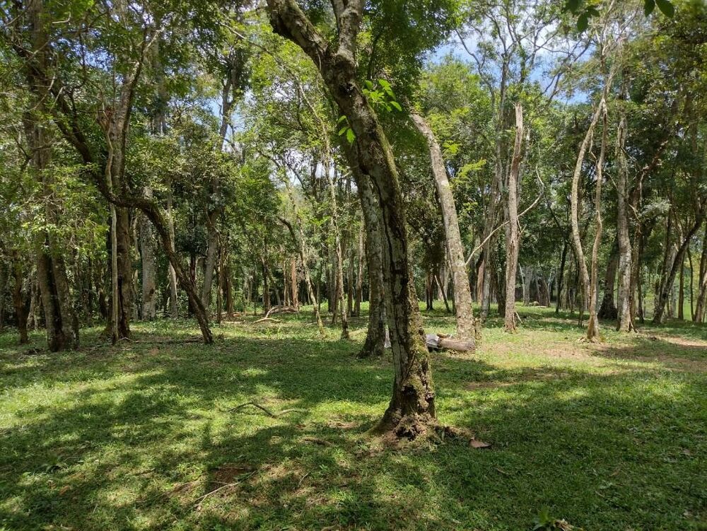 Terreno, 6 hectares - Foto 20
