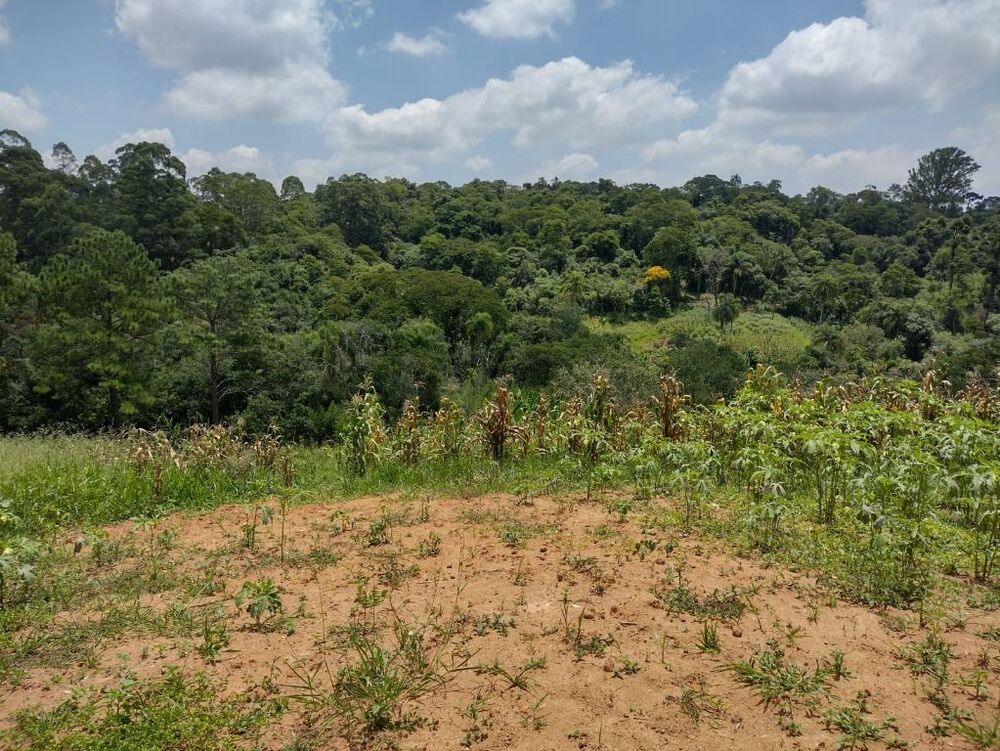 Terreno, 6 hectares - Foto 34