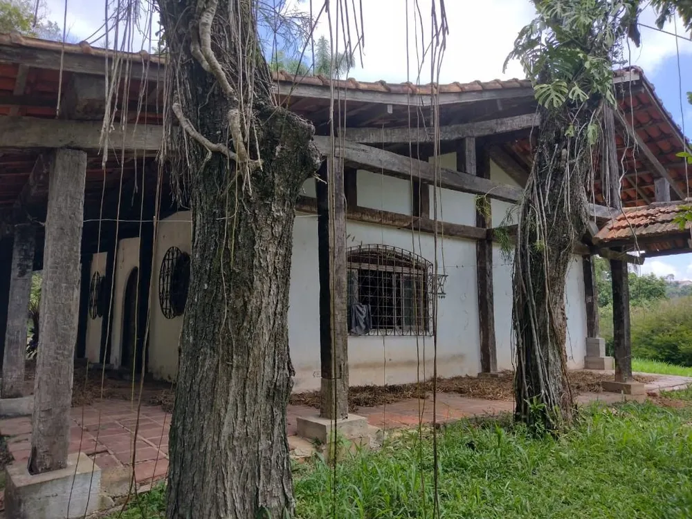 Terreno, 6 hectares - Foto 3