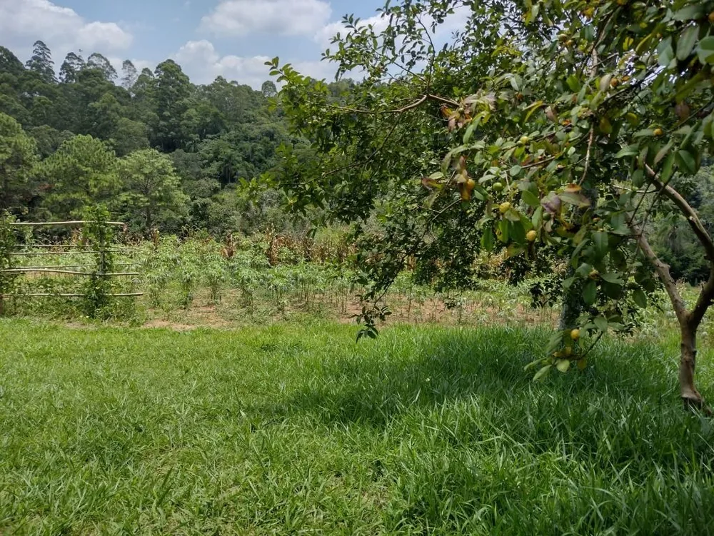 Terreno, 6 hectares - Foto 30