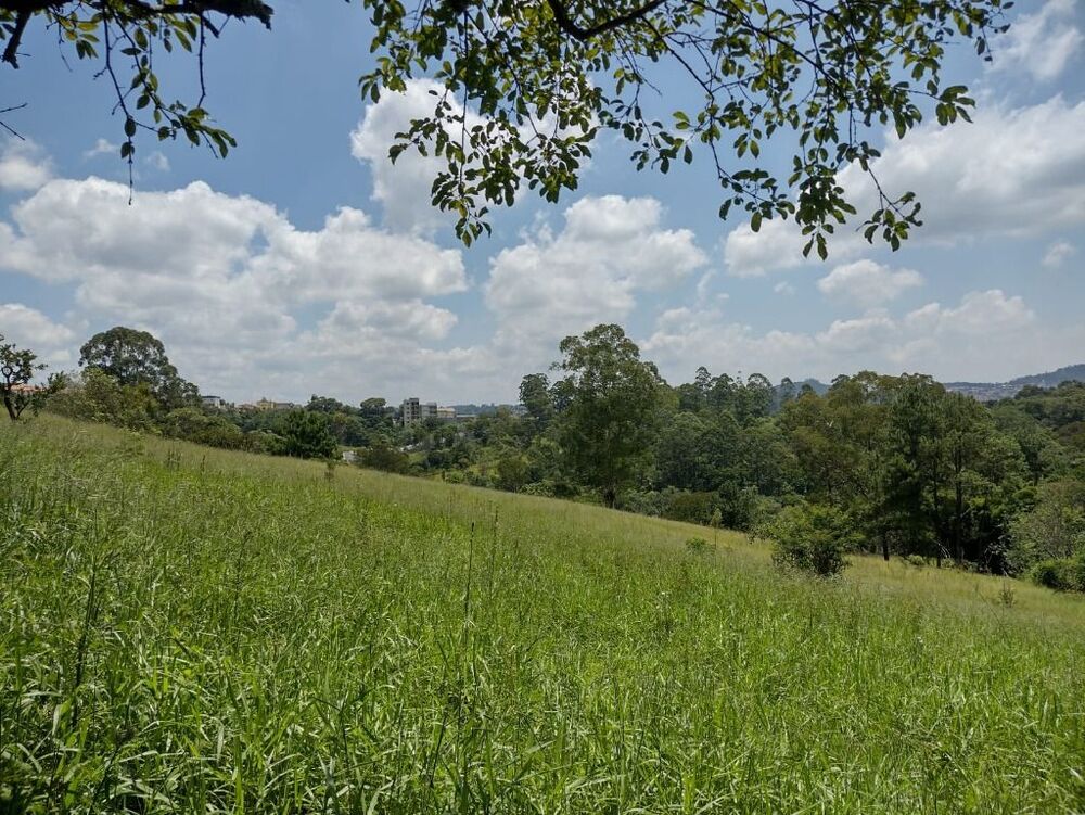 Terreno, 6 hectares - Foto 16