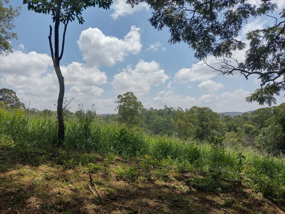 Terreno, 6 hectares - Foto 3