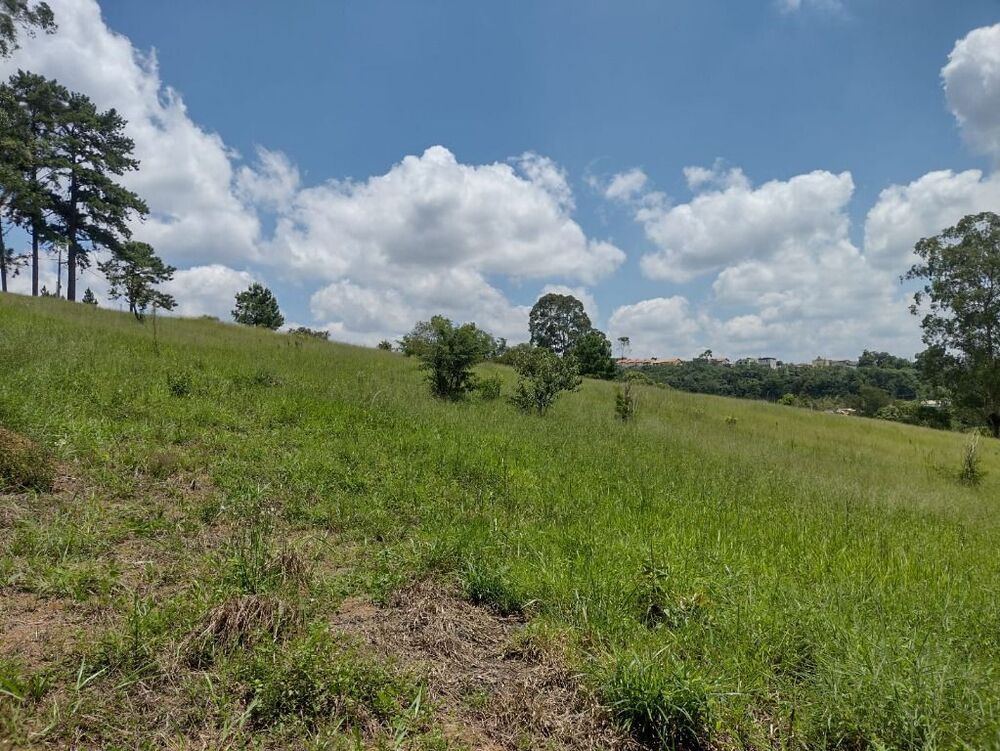 Terreno, 6 hectares - Foto 32