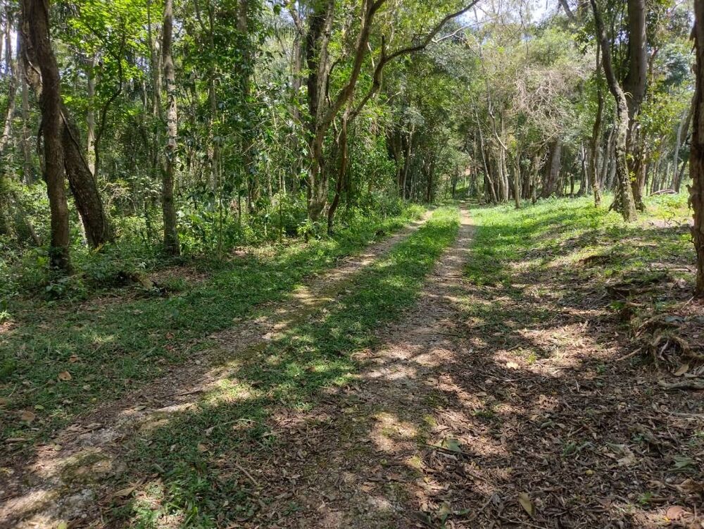 Terreno, 6 hectares - Foto 30