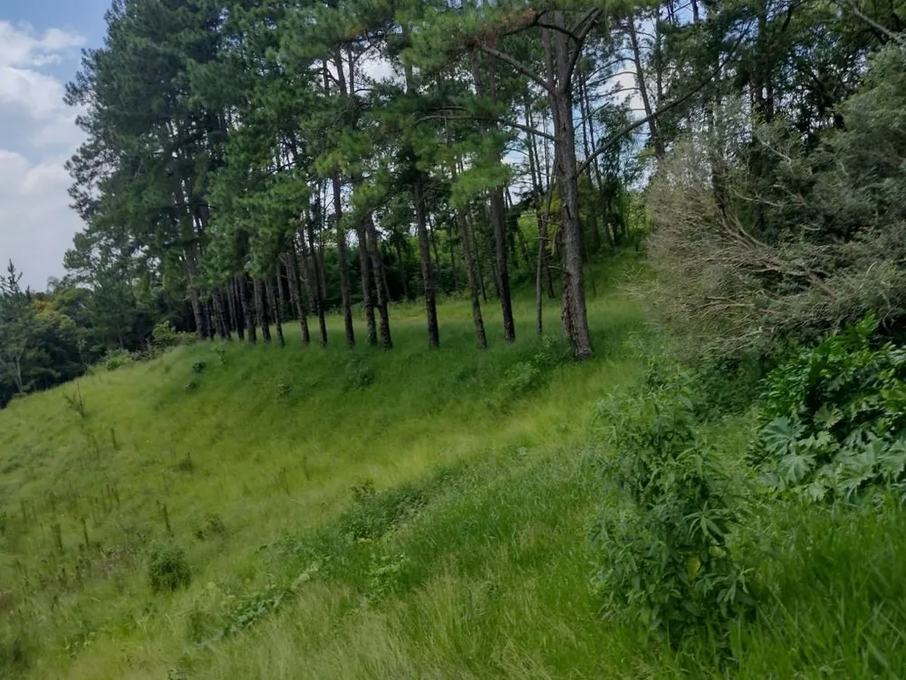 Terreno, 6 hectares - Foto 21