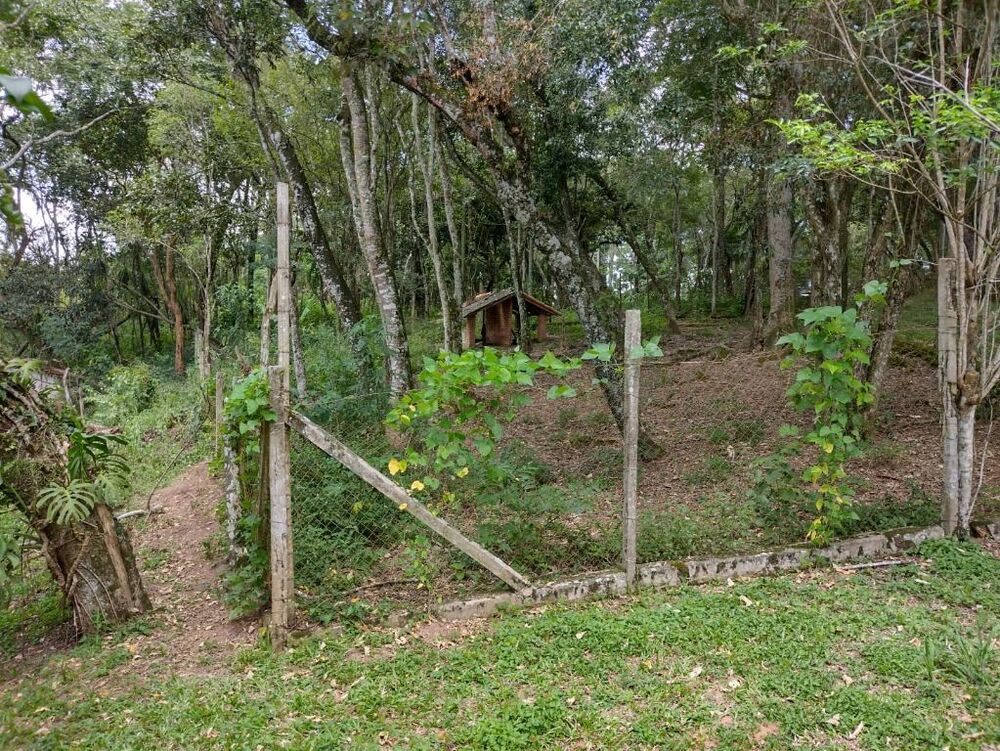 Terreno, 6 hectares - Foto 27