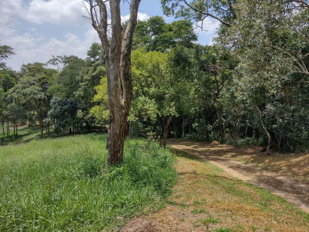 Terreno, 6 hectares - Foto 36