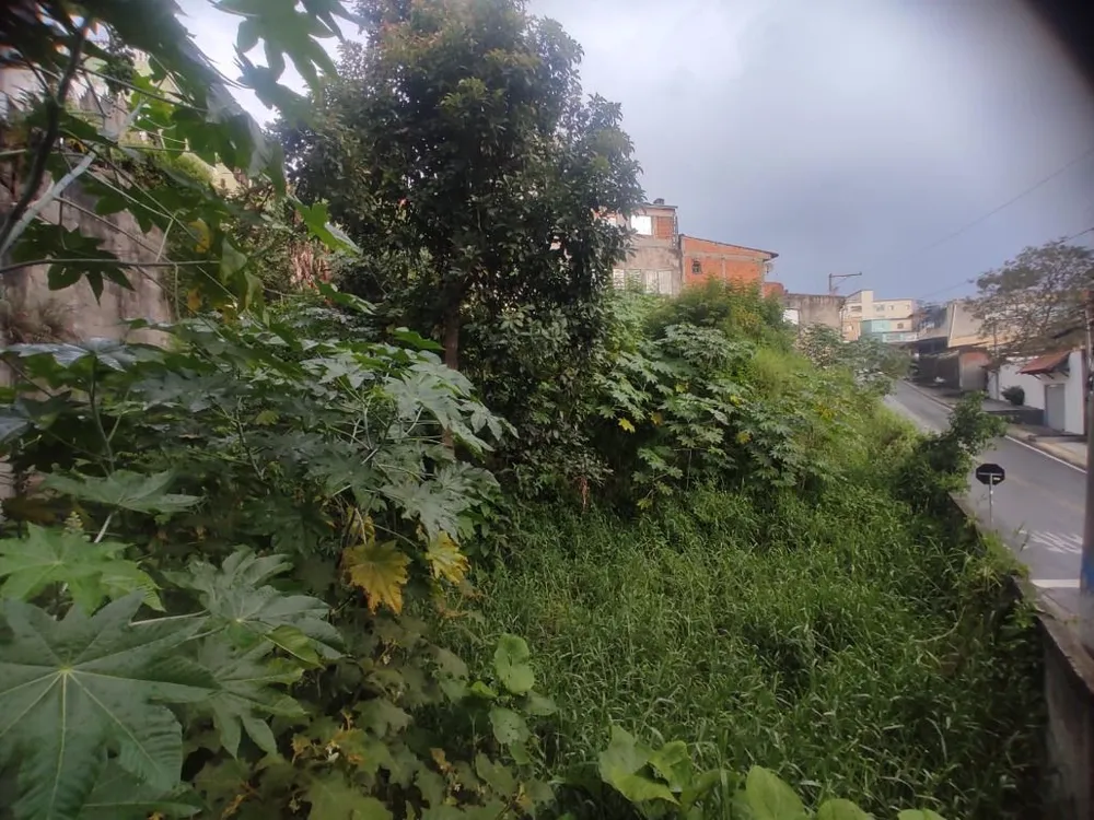 Terreno, 306 m² - Foto 6