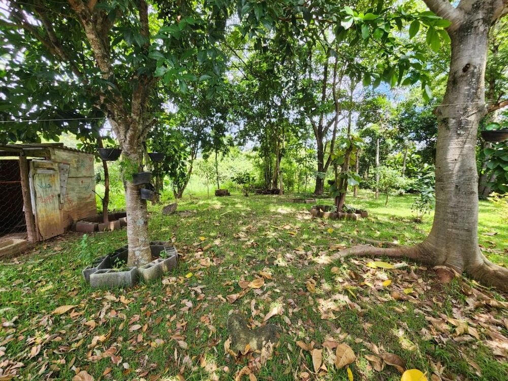 Casa de Condomínio, 5 quartos - Foto 31