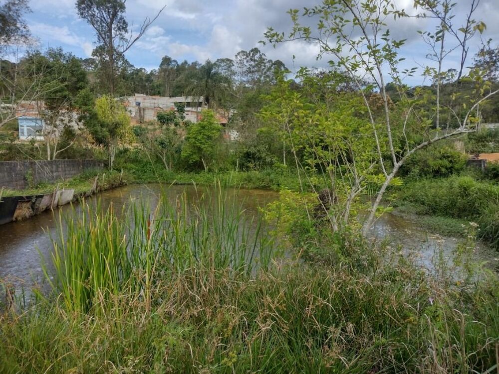 Chácara, 3 quartos, 1215 m² - Foto 23