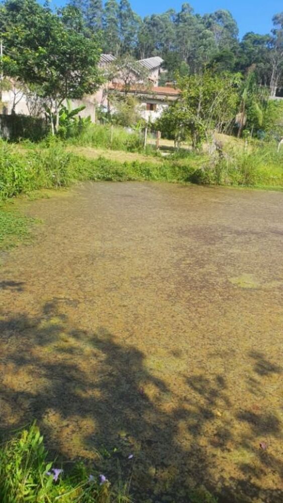 Chácara, 3 quartos, 1215 m² - Foto 24